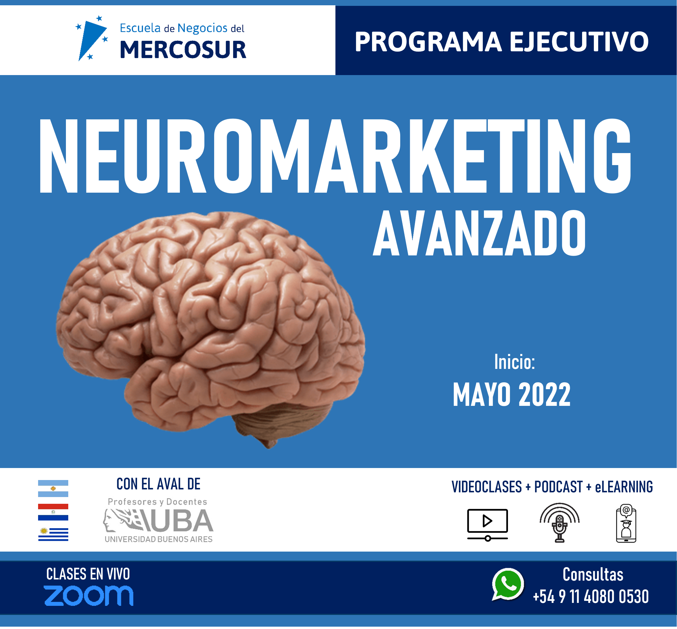 neuromkt